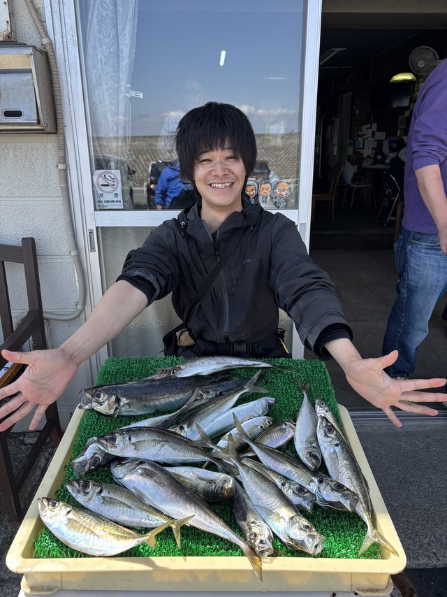 アジ(マアジ)