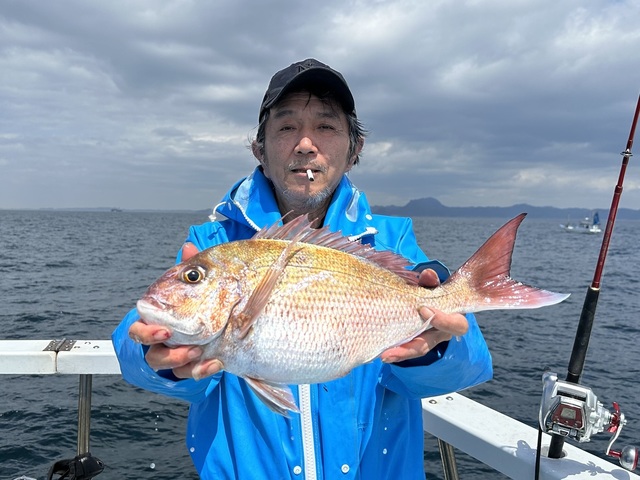 マダイ