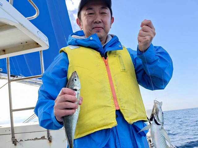 アジ(マアジ)