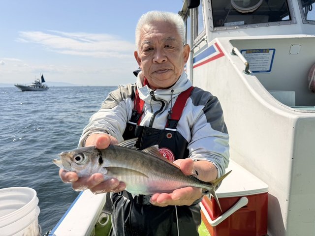 アジ(マアジ)