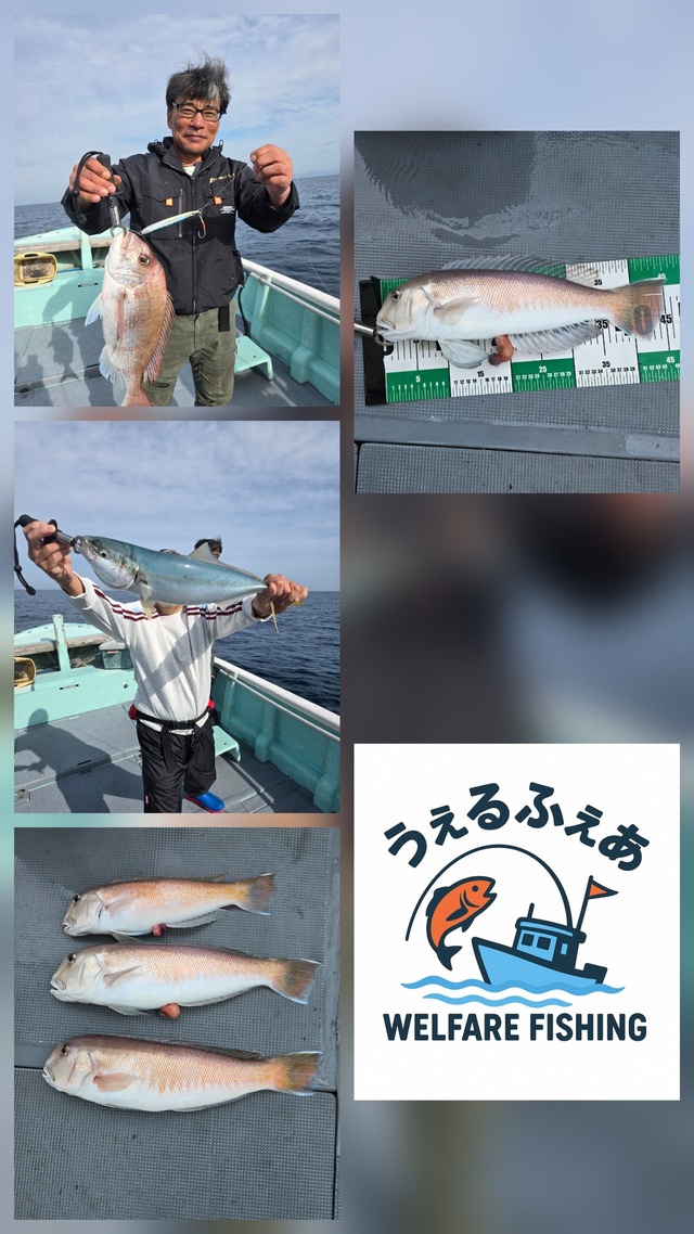 タイ(マダイ)・ハマチ(ブリ)・シロアマダイ