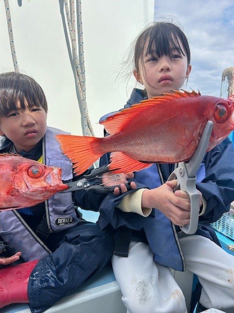 キントキ(チカメキントキ)