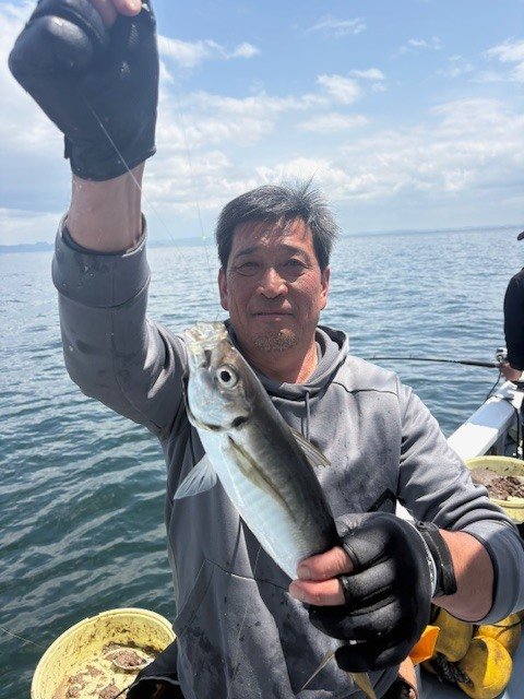アジ(マアジ)