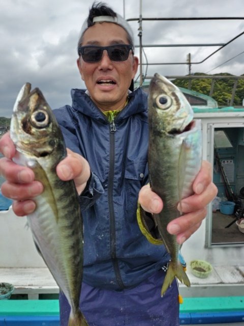 アジ(マアジ)