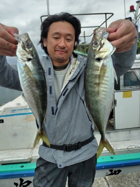 アジ(マアジ)