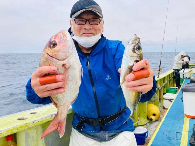 ハナダイ(チダイ)・アジ(マアジ)