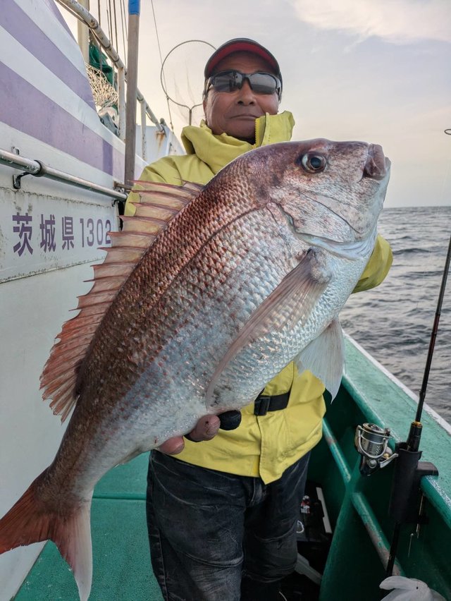 マダイ