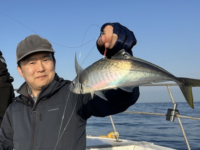 アジ(マアジ)
