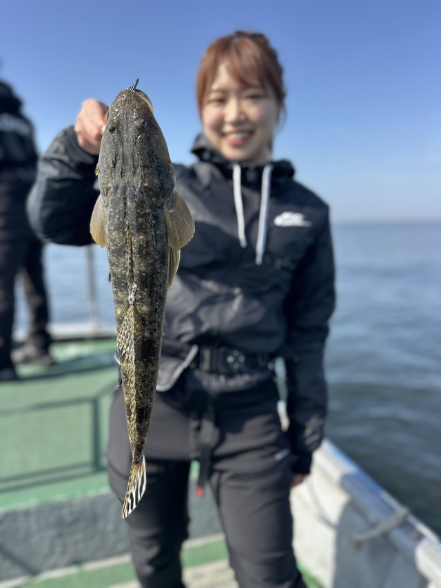 マゴチ
