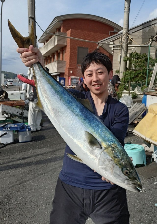 ワラサ(ブリ)