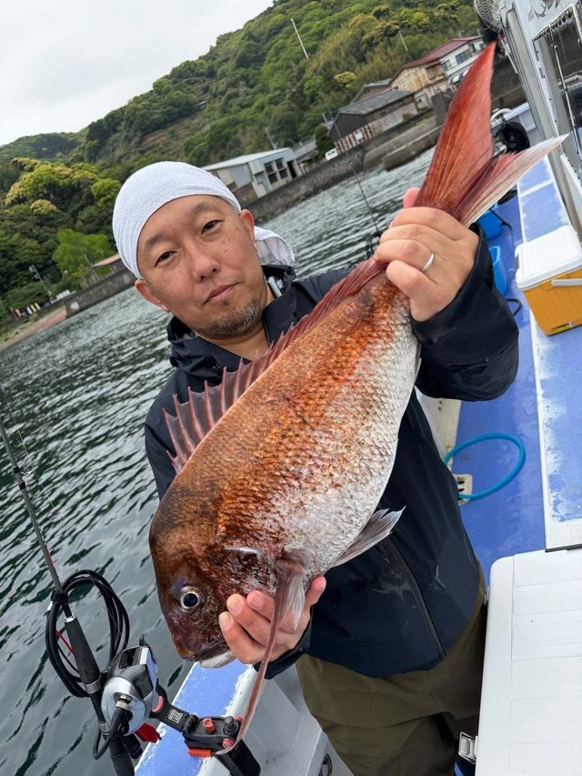 マダイ