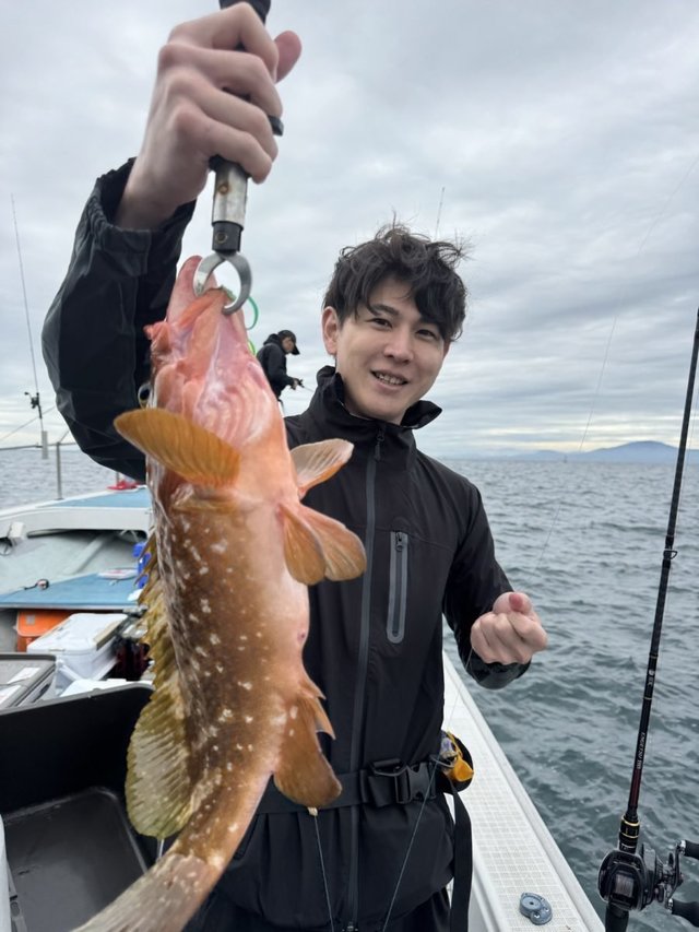 アコウ(キジハタ)