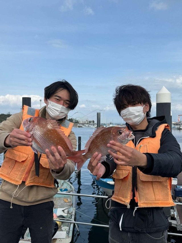 マダイ