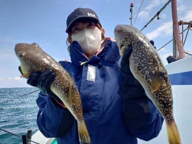 ショウサイフグ
