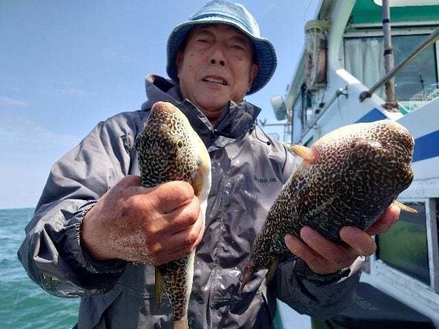 ショウサイフグ