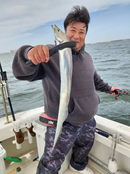 タチウオ