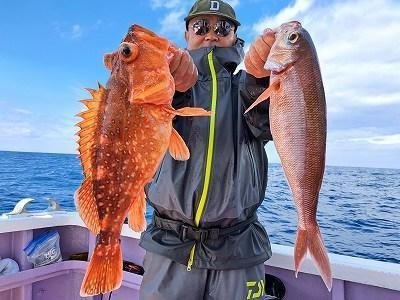 ヒメダイ・カサゴ