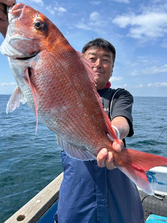 マダイ