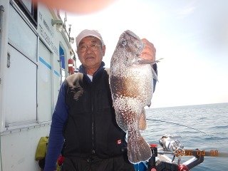 マゾイ(キツネメバル)