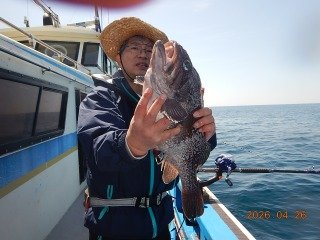 マゾイ(キツネメバル)