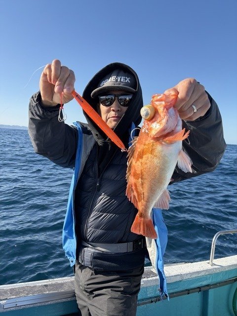 メバル(ウスメバル)