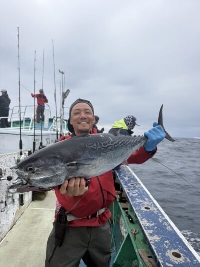 スマガツオ(スマ)