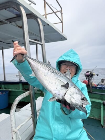 スマガツオ(スマ)