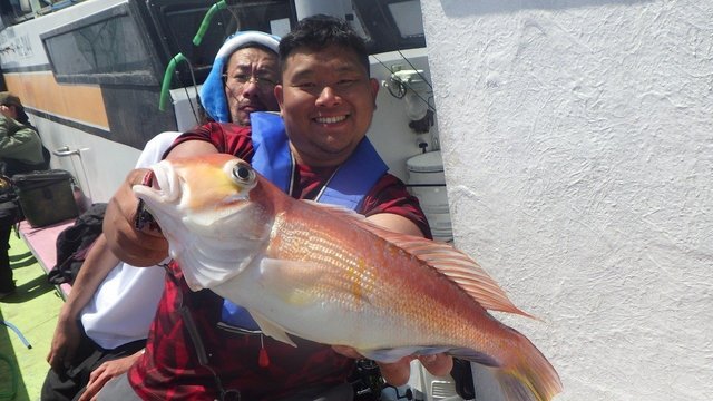 アマダイ(アカアマダイ)