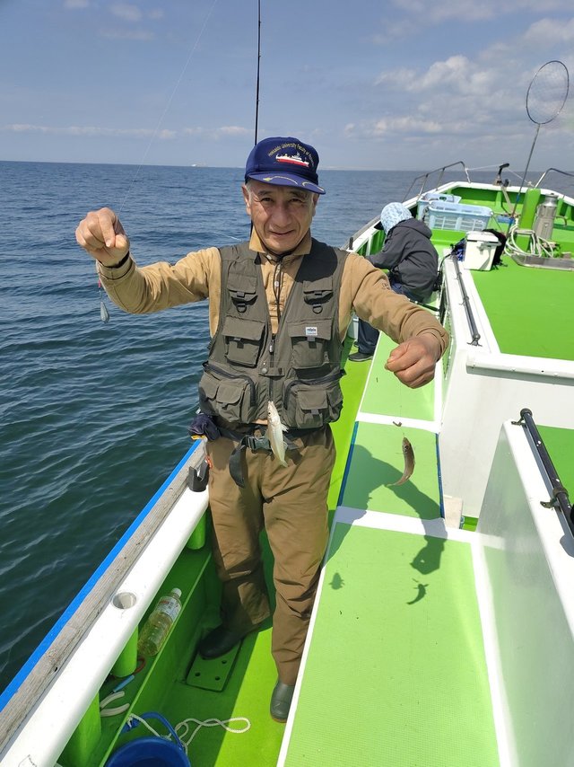 シロギス