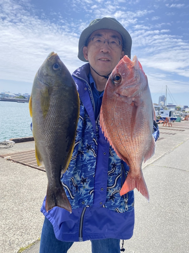 マダイ