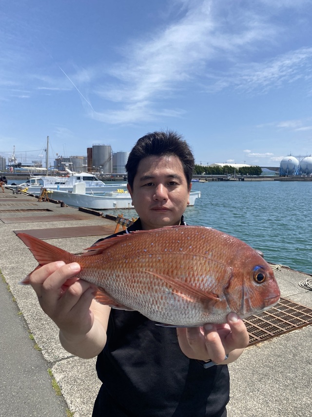 マダイ