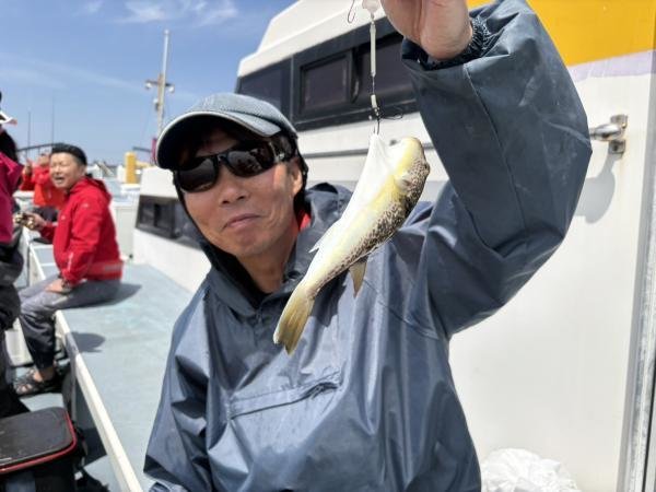 ショウサイフグ