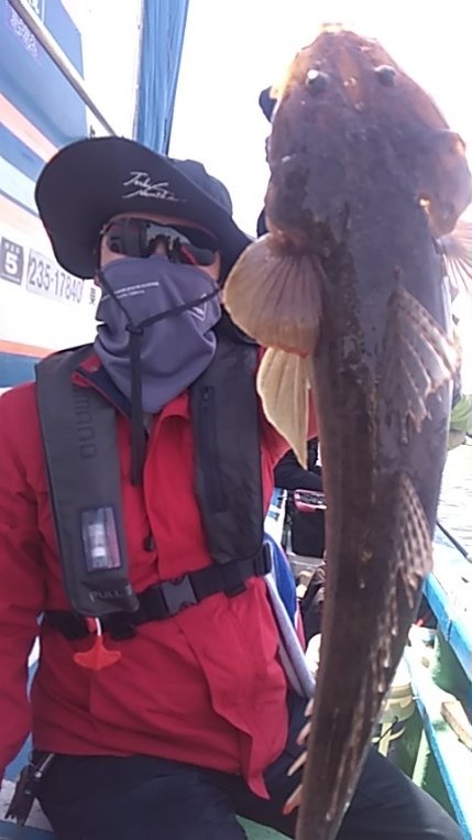 マゴチ
