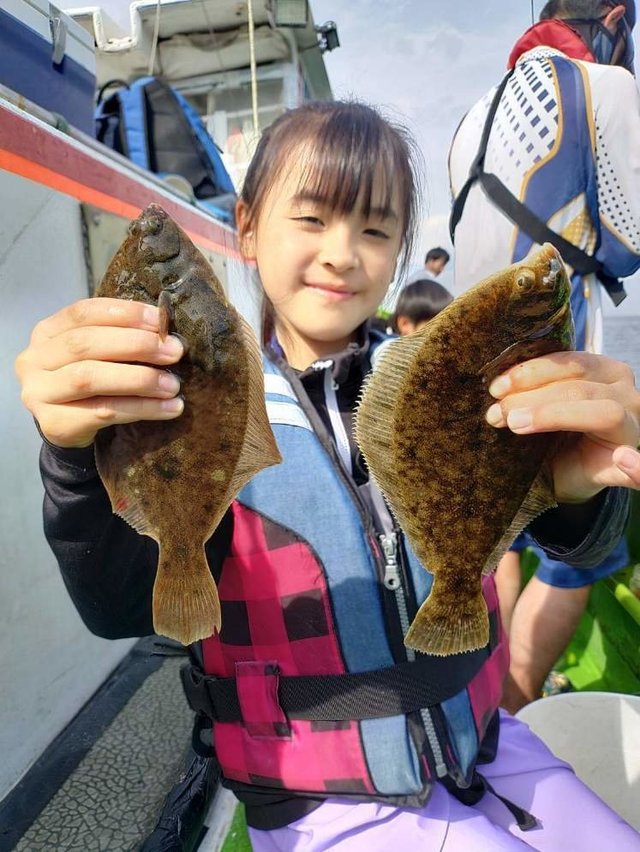カレイ(マコガレイ)