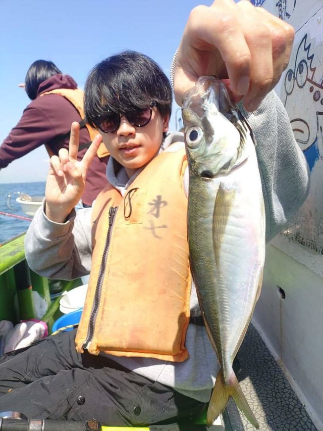 アジ(マアジ)