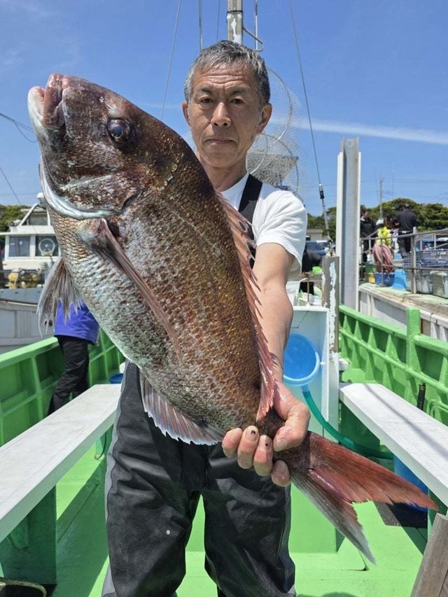 マダイ