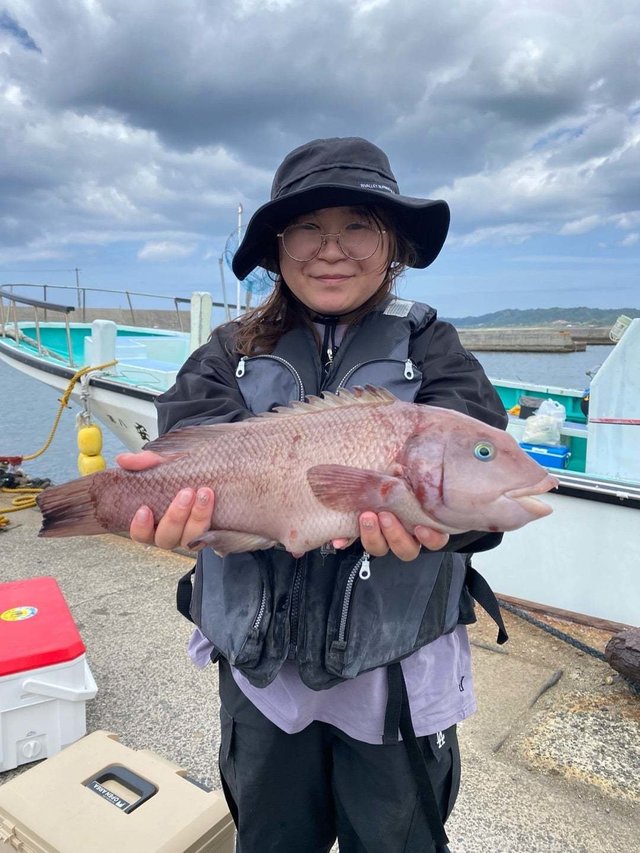 カンダイ(コブダイ)