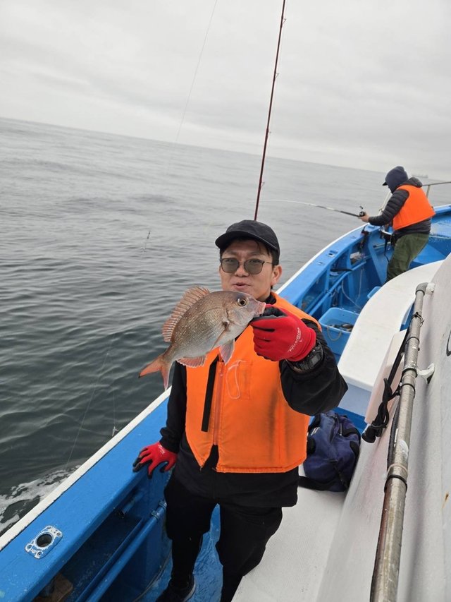 チャリコ(マダイ)