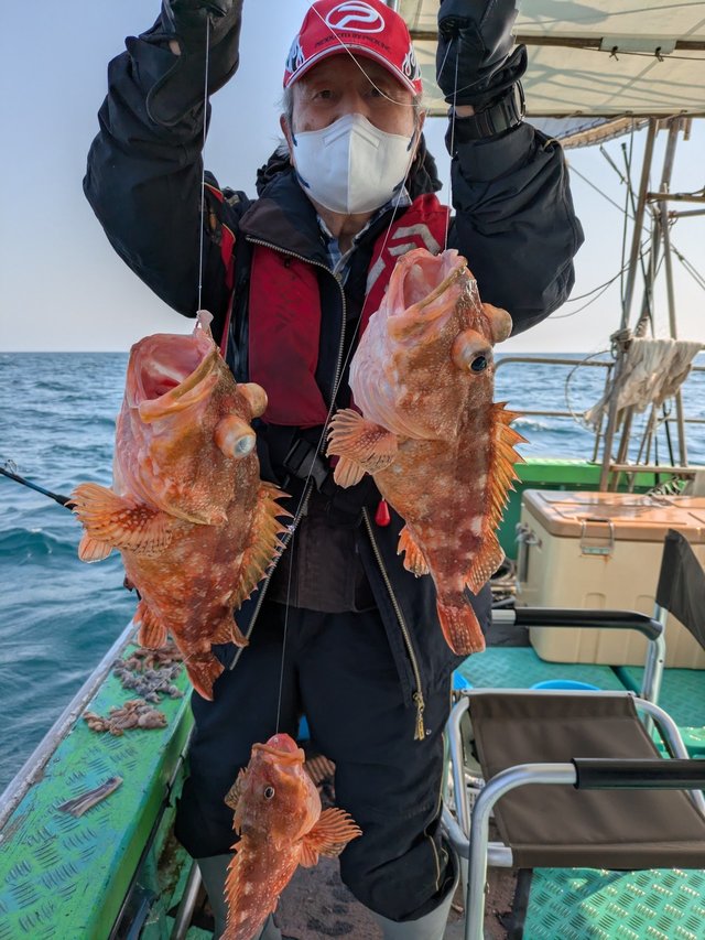 ウッカリカサゴ