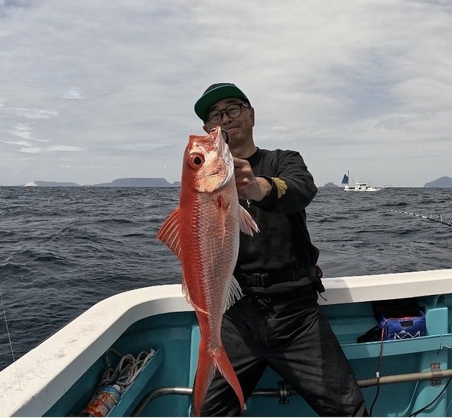 オナガ(ハマダイ)