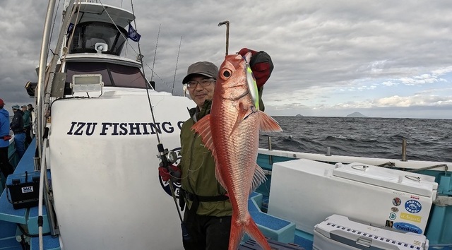 オナガ(ハマダイ)