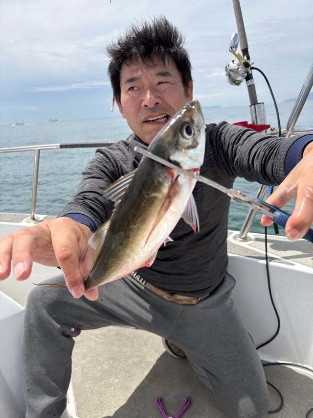 アジ(マアジ)