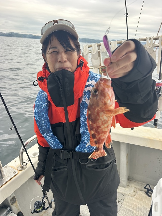 カサゴ