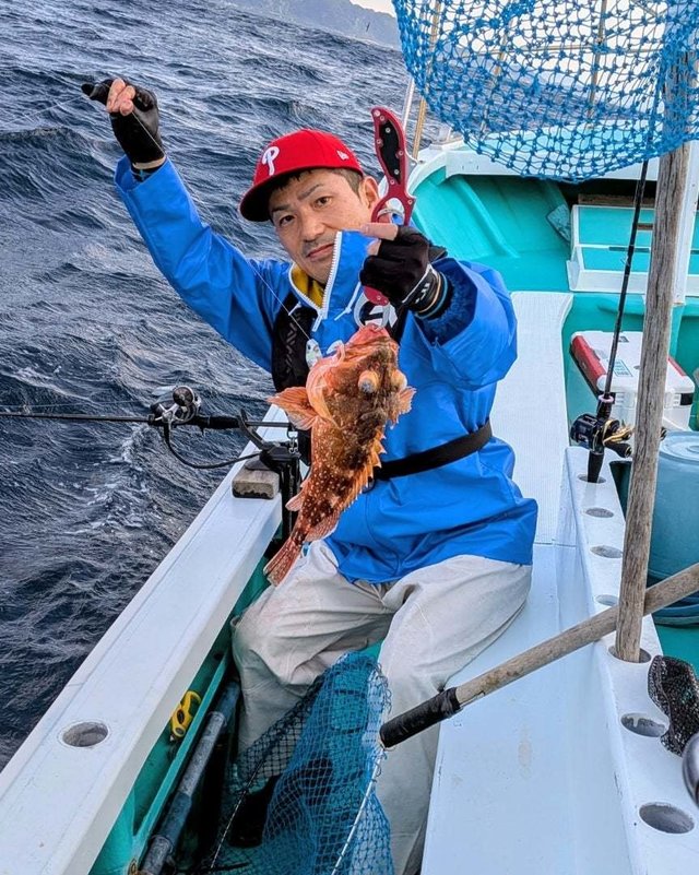 ウッカリカサゴ