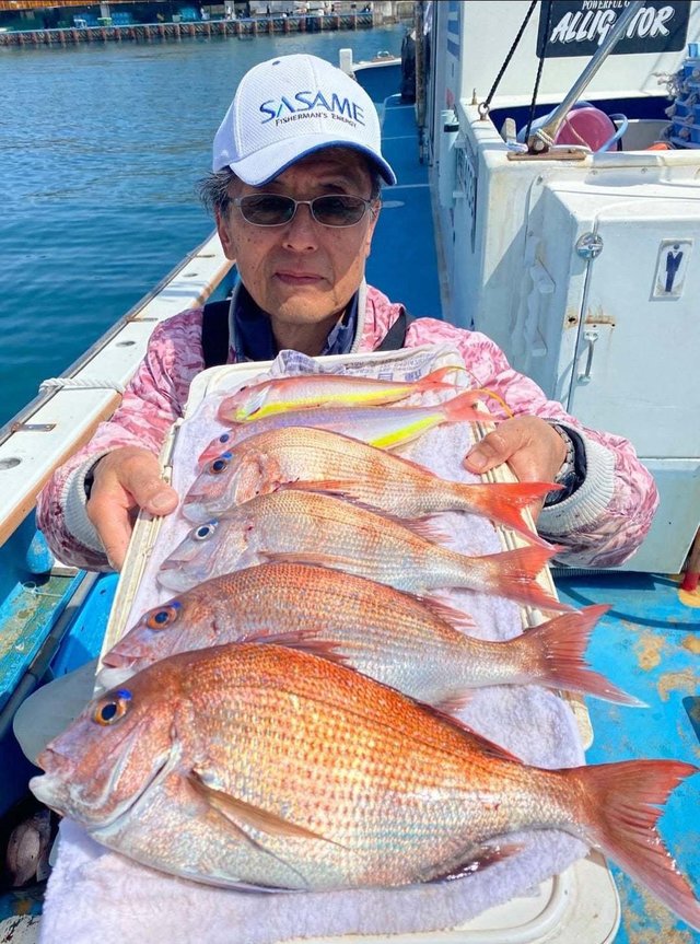 マダイ・ソコイトヨリ