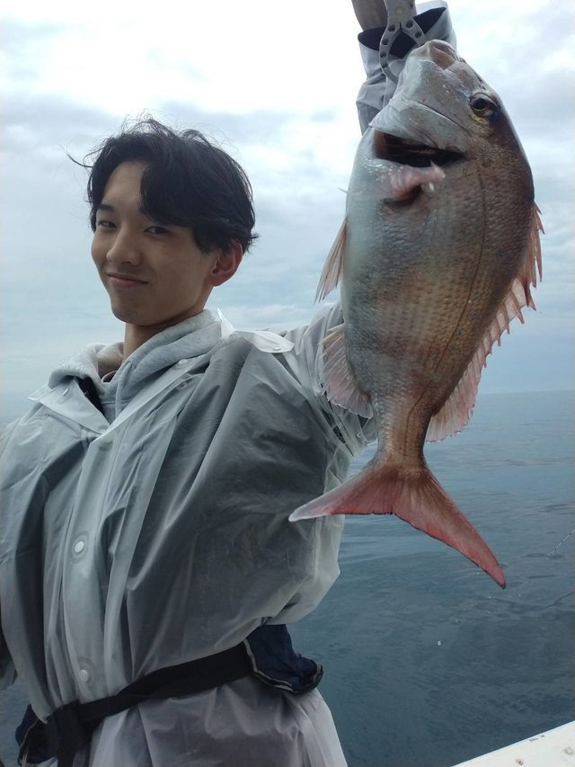 マダイ