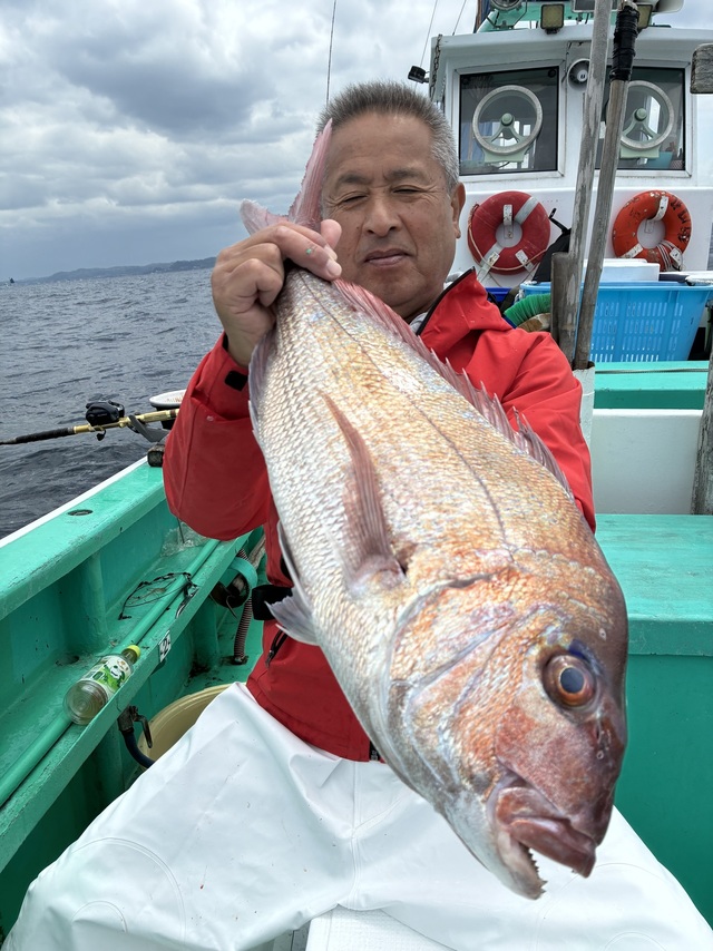マダイ