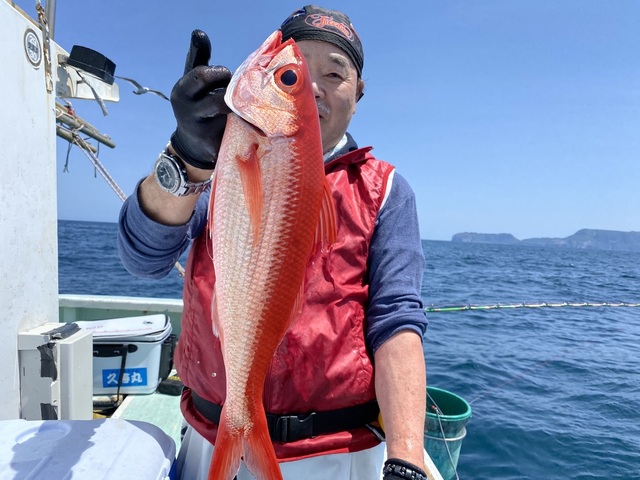 オナガダイ(ハマダイ)