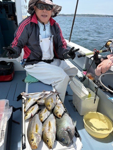 メジナ・イサキ