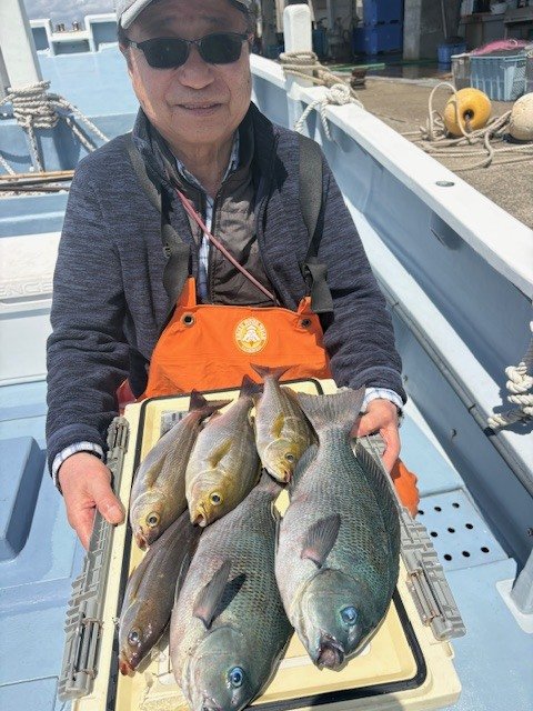 メジナ・イサキ